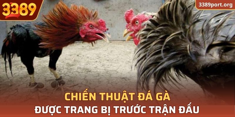 Bật mí chiến thuật ấn tượng cho trận đấu