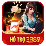 ho-tro-3389-icon
